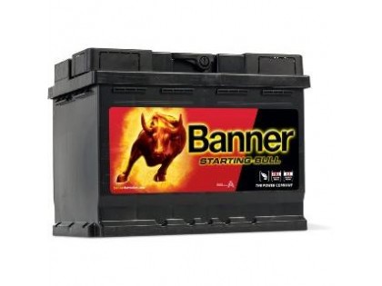 Аккумулятор Banner Power Bull P6219 550A e/n
