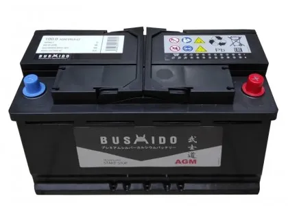 Аккумулятор Bushido AGM 100 a/h 900A R+